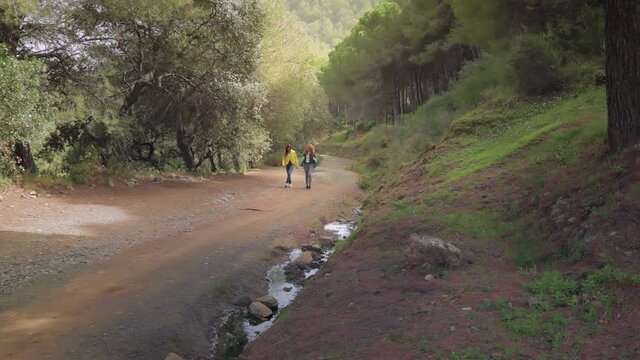 Dos hermanas gemelas pasean y charlan por un camino forestal en un bosque con &aacute;rboles en Espa&ntilde;a