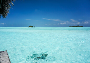 Uninhabited tropical island with palm trees. empty space with beautiful turquoise lagoon