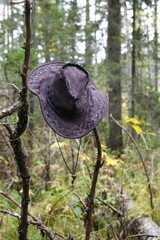 A large black felt hat hangs on a branch in the woods.