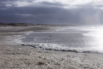 Stormy weather along the coast of Scheveningen