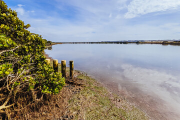 Obraz premium Lake Connewarre Wildlife Reserve in Australia