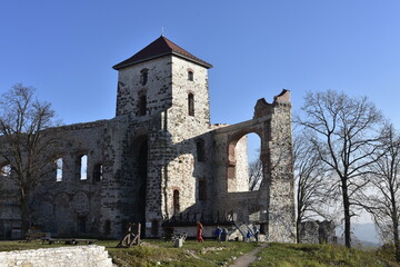 Obraz premium Castle, Tenczyn, Rudno, Malopolska, Trail of the Eagles' Nests,