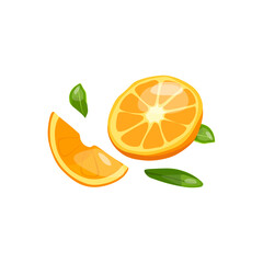 Vector illustration of a cut orange. Source of vitamin C.