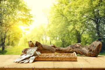 Desk of free space and spring landscape of garden 