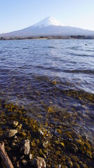 Mt. Fuji over the lake