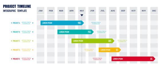 Project Timeline Infographics, 12 months timeframe and milestones	with percentage of completion