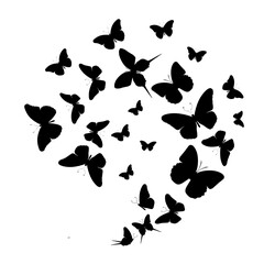 Flock of silhouette black butterflies on white background