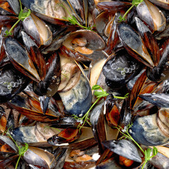 Square background of boiled midmey