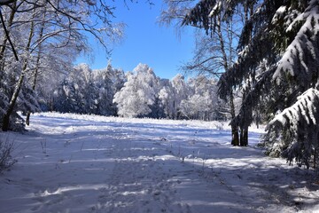 Brdy Hills region during winter time with clear blue skies, Czech Republic.