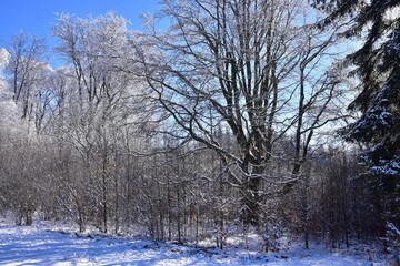 Winter walk in Brdy Hills in Central Bohemia, Czech Republic, including Padrtske Lakes in the snow.