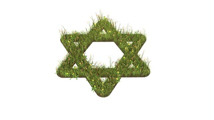 3d rendered grass field of symbol of star of David isolated on white background