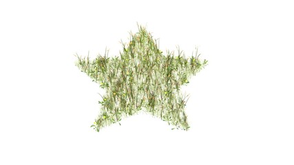 3d rendered grass field of symbol of star isolated on white background