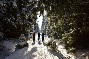 Cross country skiing in winter Brdy Hills in Central Bohemia, Czech Republic.