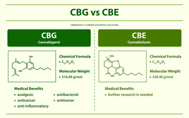 CBG vs CBE, Cannabigerol vs Cannabielsoin horizontal infographic illustration about cannabis as herbal alternative medicine and chemical therapy, healthcare and medical vector.
