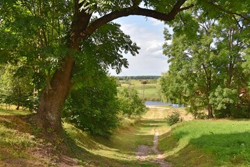 Fototapety na wymiar - Fototapeta24.pl