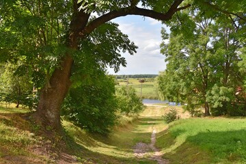 Biebrza National Park, nature reserve, Podlasie,

