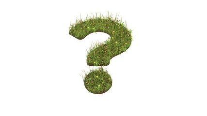 3d rendered grass field of symbol of question isolated on white background