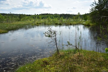 Fototapeta na wymiar Artificial Macha Lake near Doksy in the Liberec Region, Czech Republic, in spring.