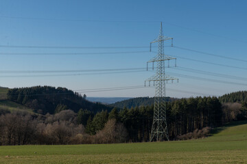 Strommasten vor Wald
