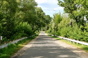 Biebrza National Park, nature reserve, Podlasie,

