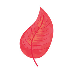 ecology leaf red