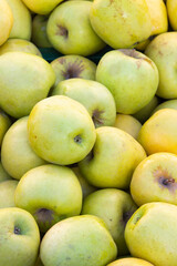 Detail of a group of green orchard apples