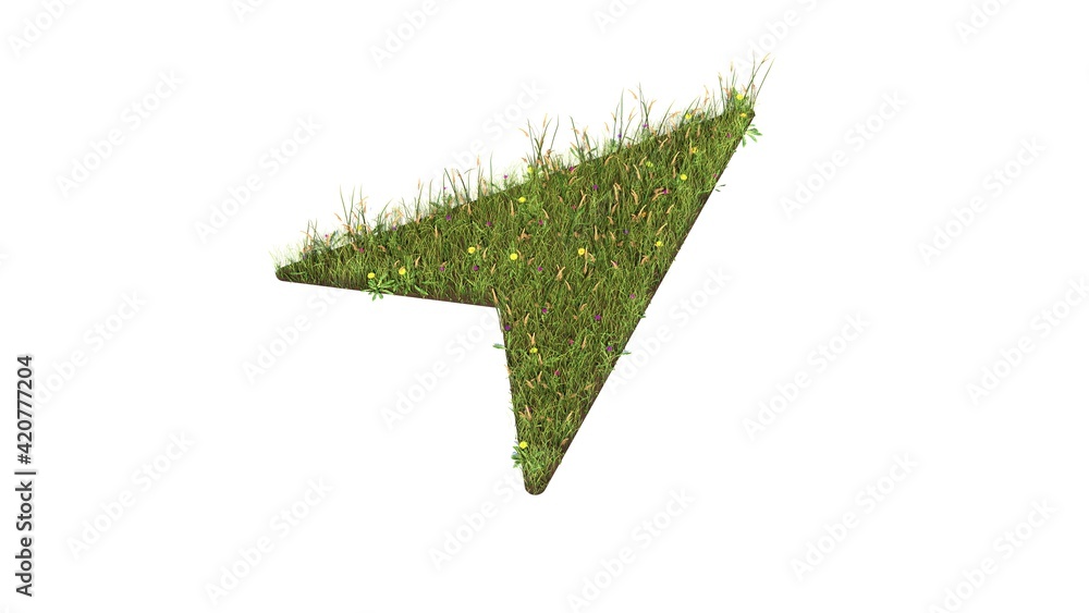 Poster 3d rendered grass field of symbol of navigation isolated on white background