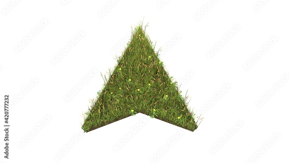 Poster 3d rendered grass field of symbol of navigation isolated on white background