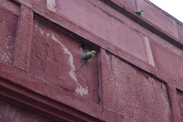 Beautiful a Structures Monuments Gardens with Flowers in Rajasthan