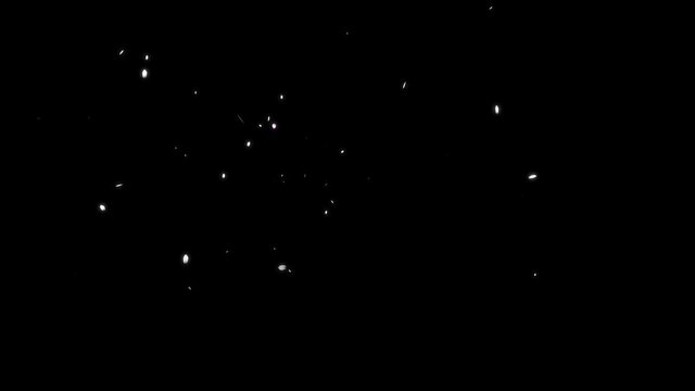 桜の花が大き目の花吹雪エフェクト　アルファチャンネル付き