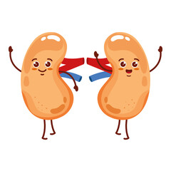 cute organs kidneys