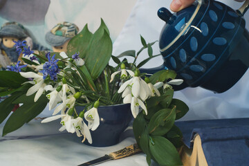 Elegance, romance and fragility - first snowdrops blossom and herbal tea in blue vintage pot