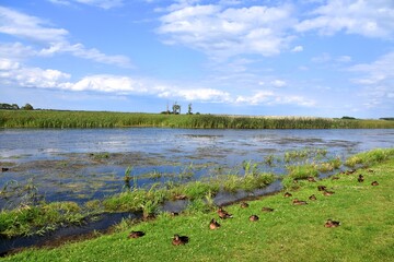  Biebrza National Park, nature reserve, Podlasie, © Albin Marciniak