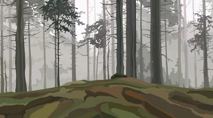 Aluminium Prints Pale violet background landscape foggy forest with pine trees