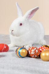 Easter day and religious symbol - a white fluffy rabbit with long ears with colorful painted eggs on pink beige minimalistic pastel background vertical photo story