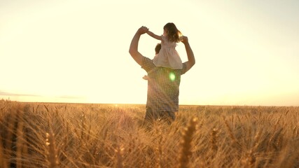 Little daughter plays on shoulders of farmers father in wheat field. Happy child and father are...