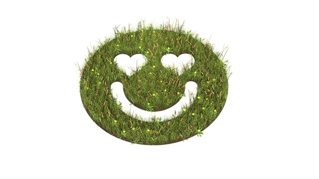 3d rendered grass field of symbol of emoticons in love isolated on white background