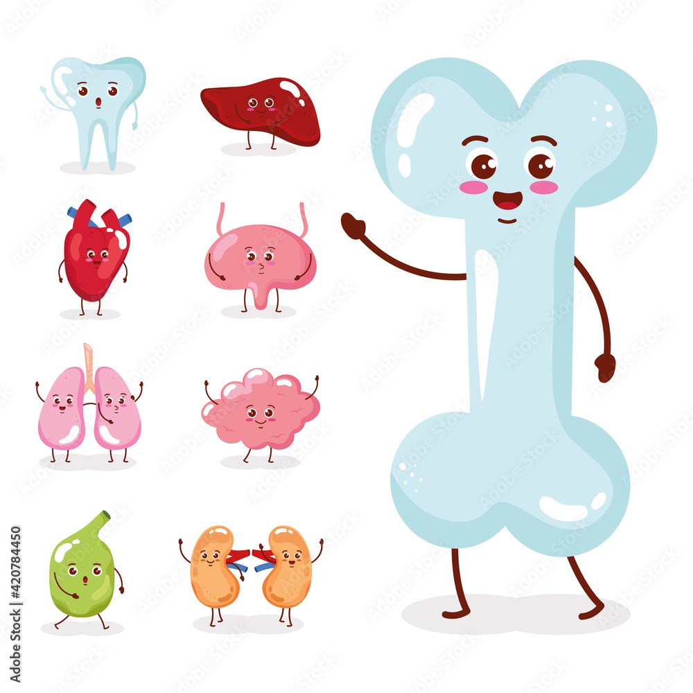 Sticker nine cute organs