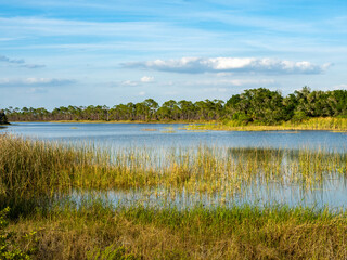 Webb Lake in Fred C. Babcock Cecil M. Webb Wildlife Management Area in Punta Gorda Florida USA