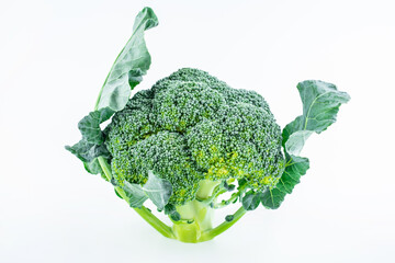 Fresh vegetable broccoli on white background