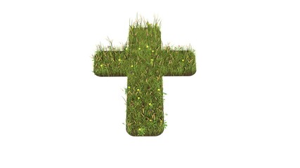 3d rendered grass field of symbol of cross isolated on white background