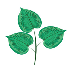 leafs plant icon