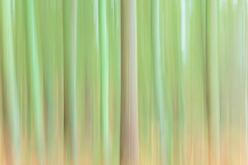 Abstract forest background or pattern with motion blur