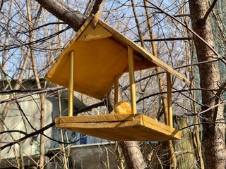 birdhouse with bread on wood