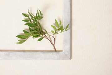 plant in wooden vintage frame on textured background backdrop copy space