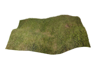 Fototapeta premium Grass isolated on white background. 3d rendering illustration.