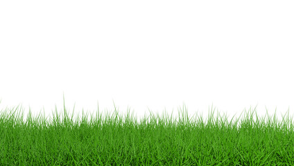 Fototapeta na wymiar Grass isolated on white background. 3d rendering illustration.