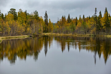 Small forest lake surrounded by autumn colored trees in Finnish Lapland