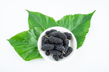 Mulberry leaf and mulberry fruit on white background
