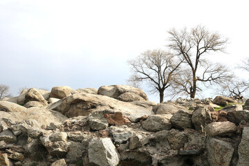 beautiful and simple landscape of a hill with rocks, bare trees over the background of a uniform clear sky
